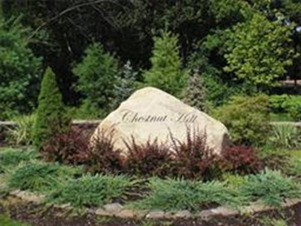 Lot 1 Holly Road - Photo 1