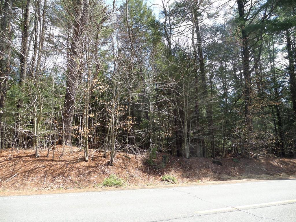 lot 25 Huntington Rd - Photo 1
