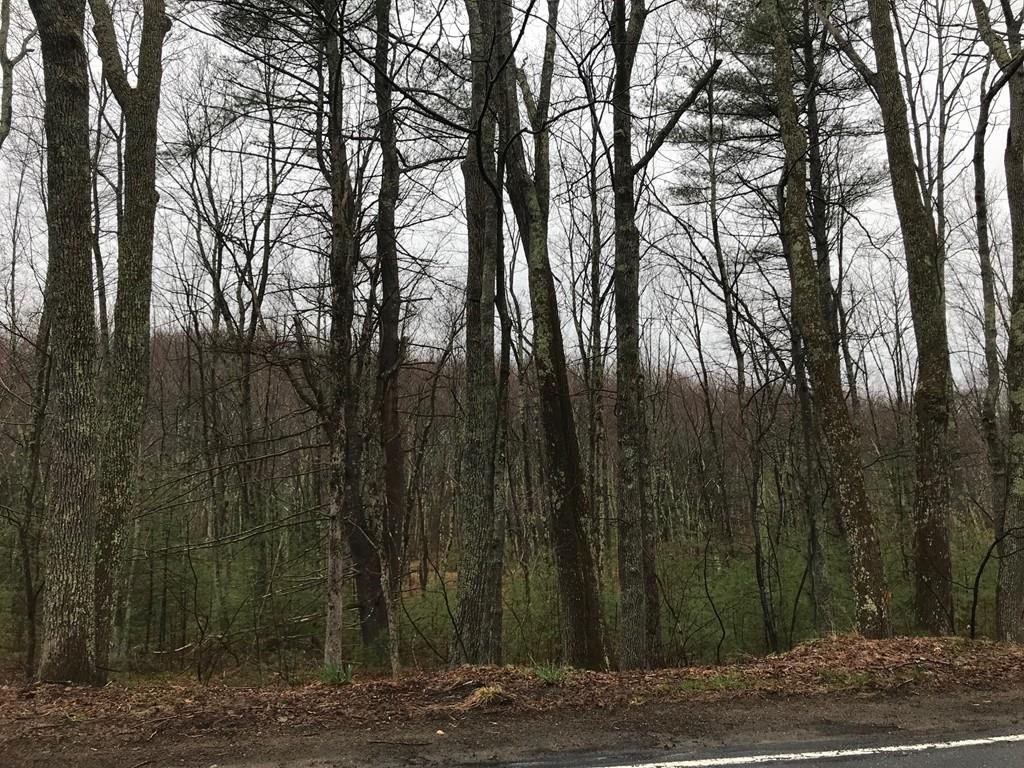 0 Warren Road - Photo 1