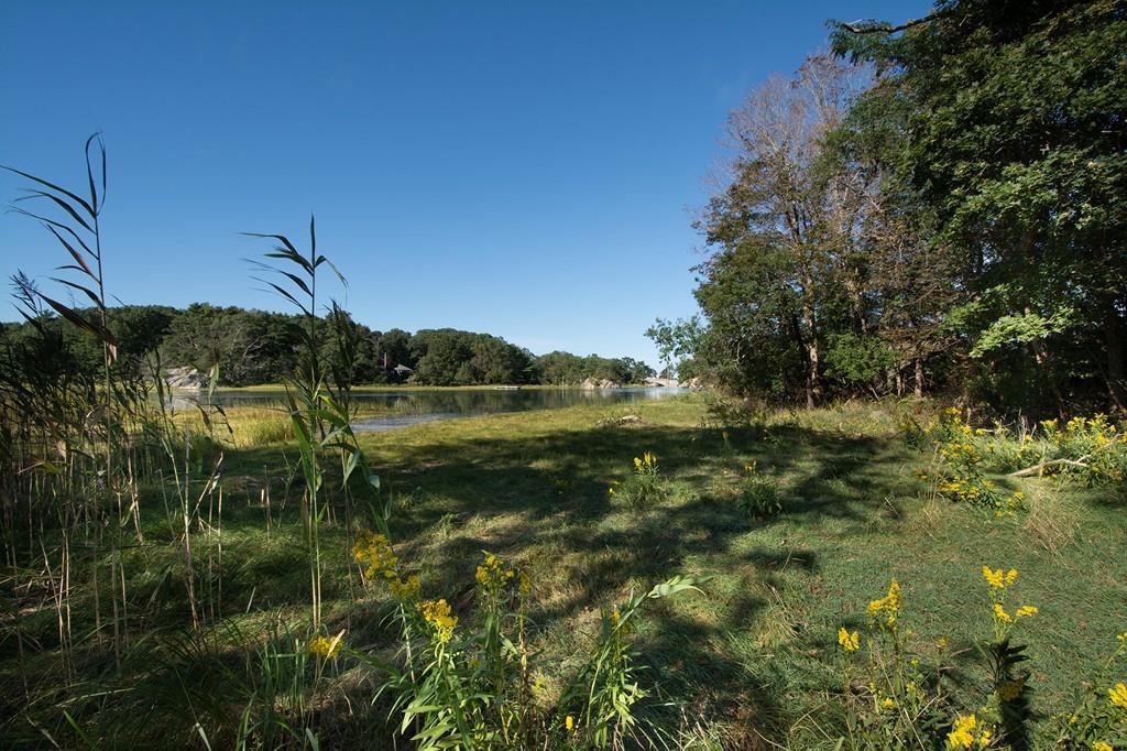 70-Lot-2 Black Horse Lane Lot 2 - Photo 1