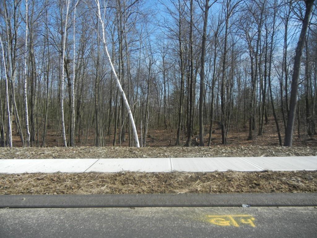 Lot 15 Sunset Ridge Estates - Photo 1