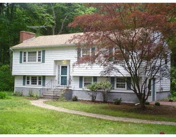 237 Carlisle Road - Photo 1