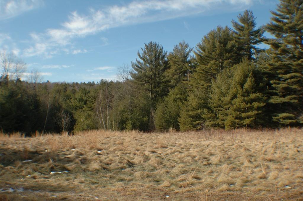 355 Tully Rd - Photo 1