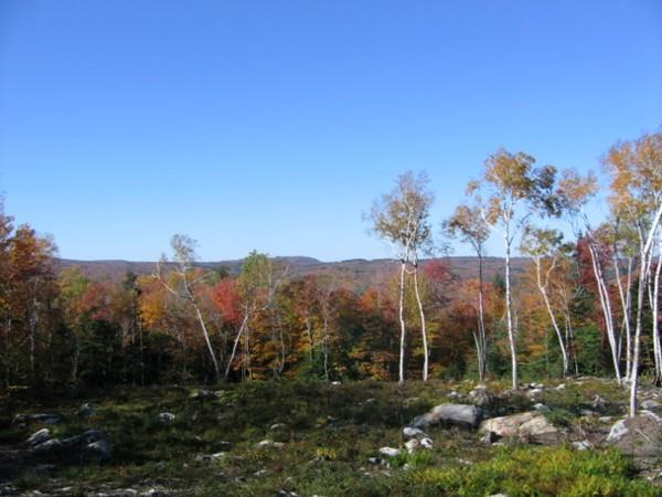 lot 55 Valley View Rd - Photo 1