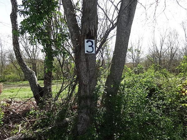 Lot 3 Sodom Rd - Photo 1 Lot 3 Sodom Rd - Photo 1