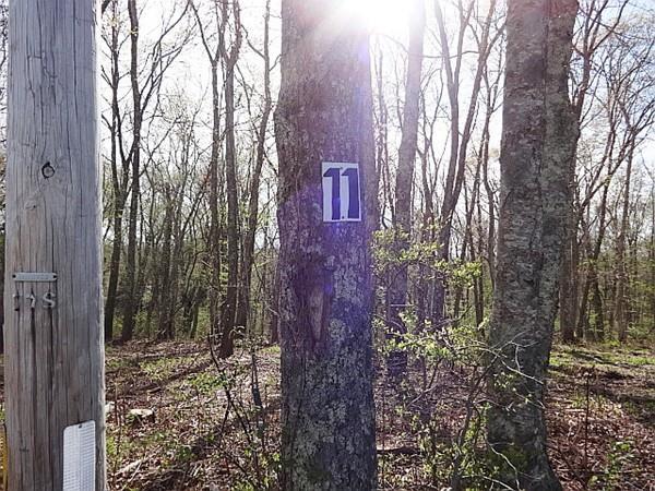 Lot 11 Sodom Rd - Photo 1
