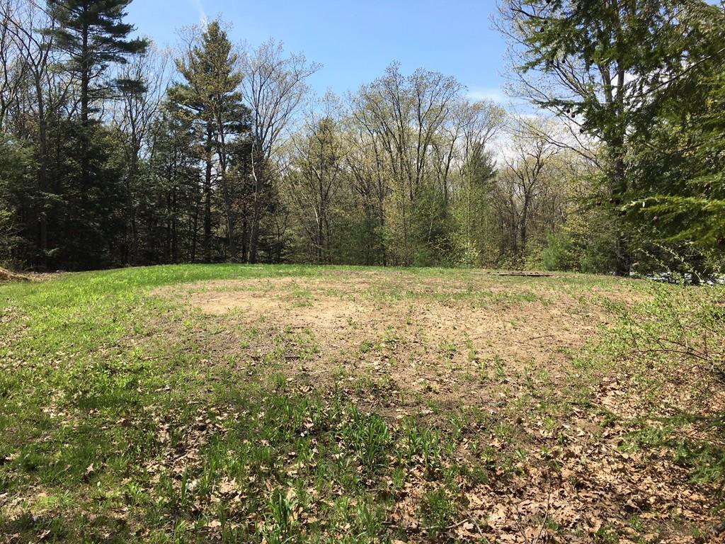 0 Otter River Road - Photo 1