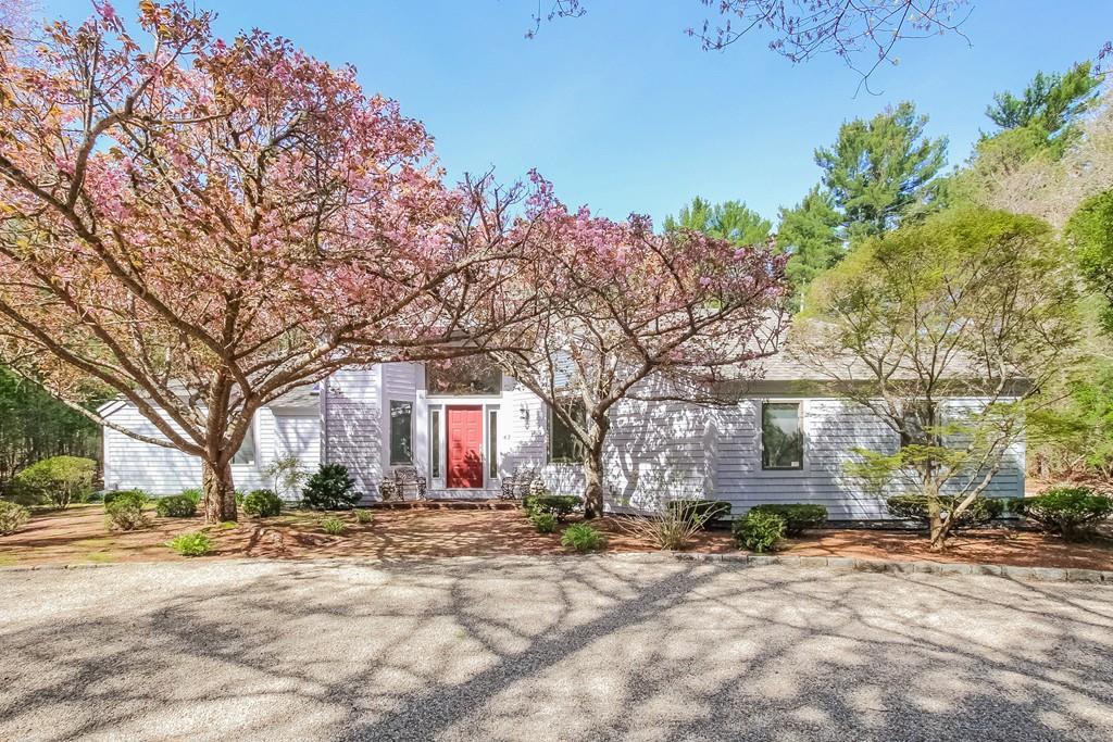 47 Surrey Pl - Photo 1