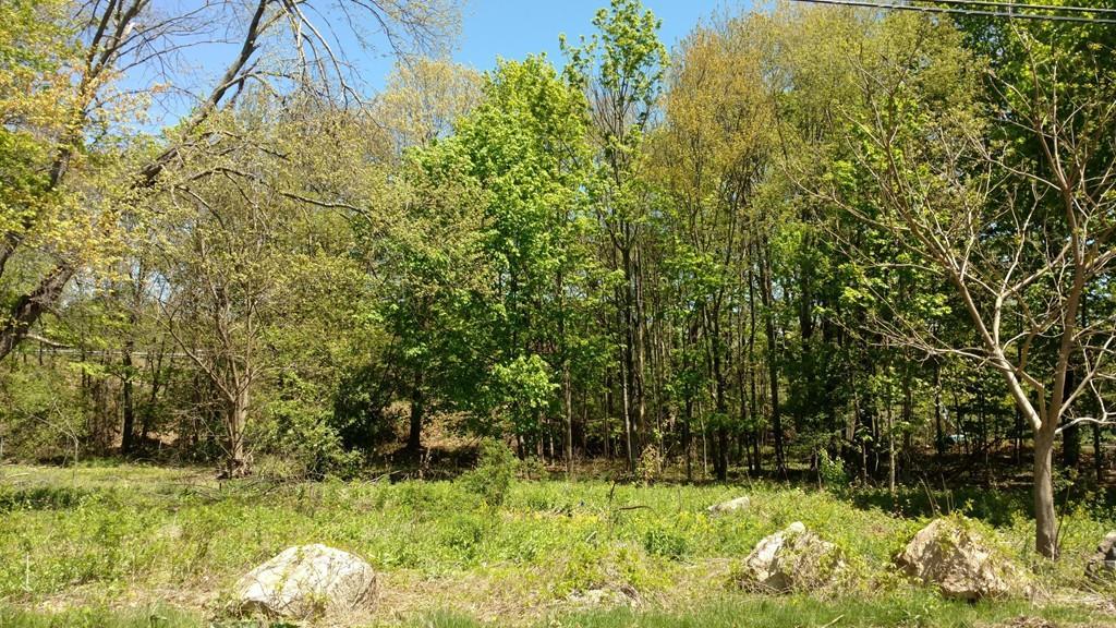 0 Border Rd - Photo 1