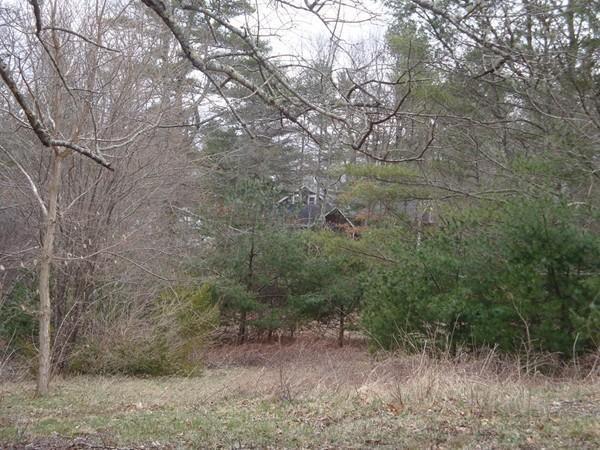 384-C Wareham Street - Photo 1