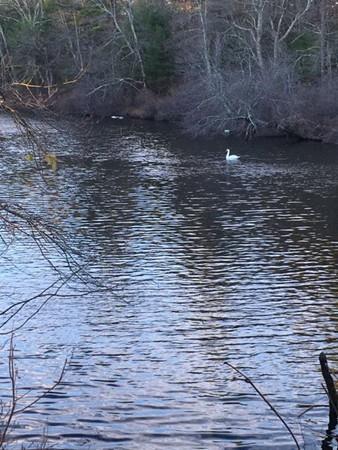 60 River Rd - Photo 1