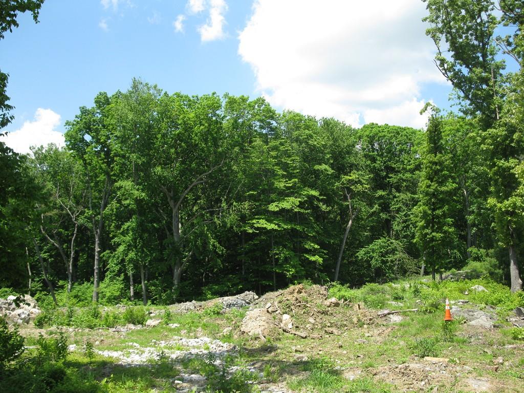 Lot 5 Anna Place - Photo 1
