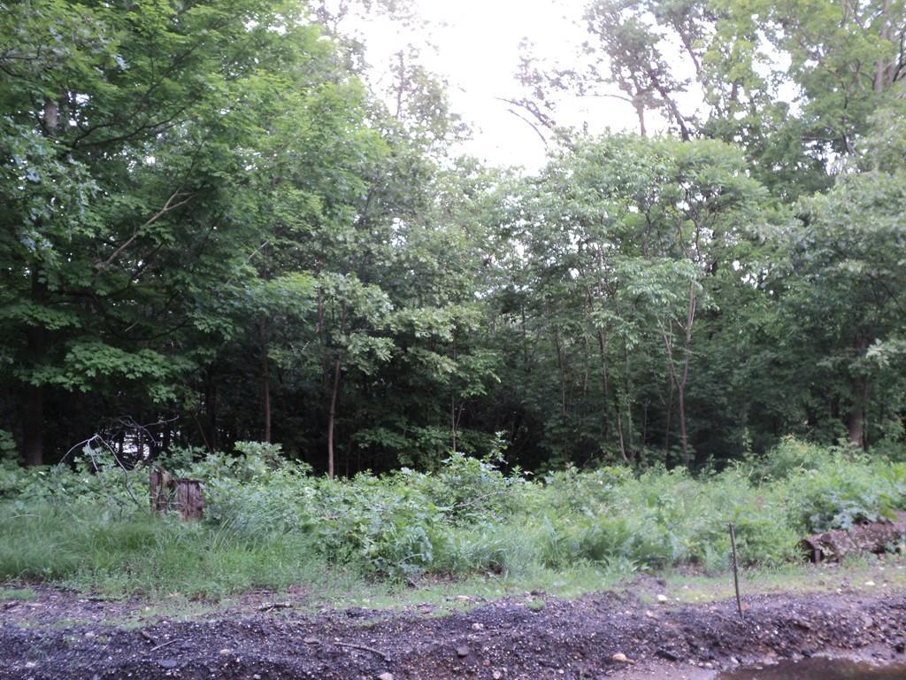 0 Hudson Ave - Photo 1