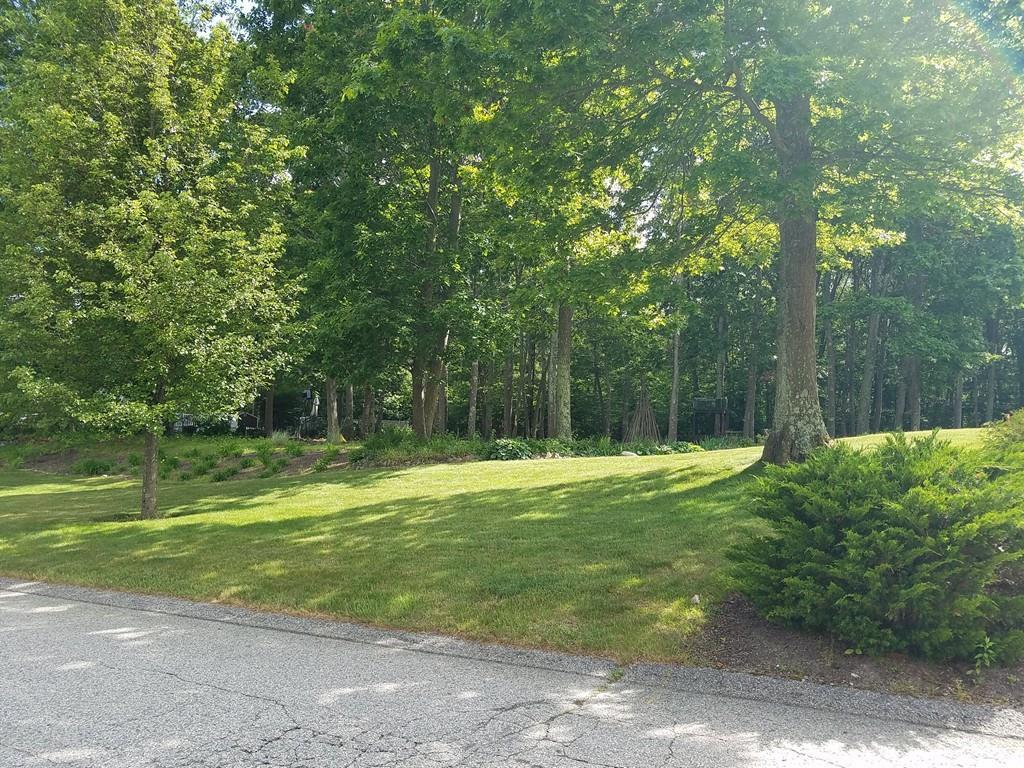 lot 2 Leawood Lane - Photo 1