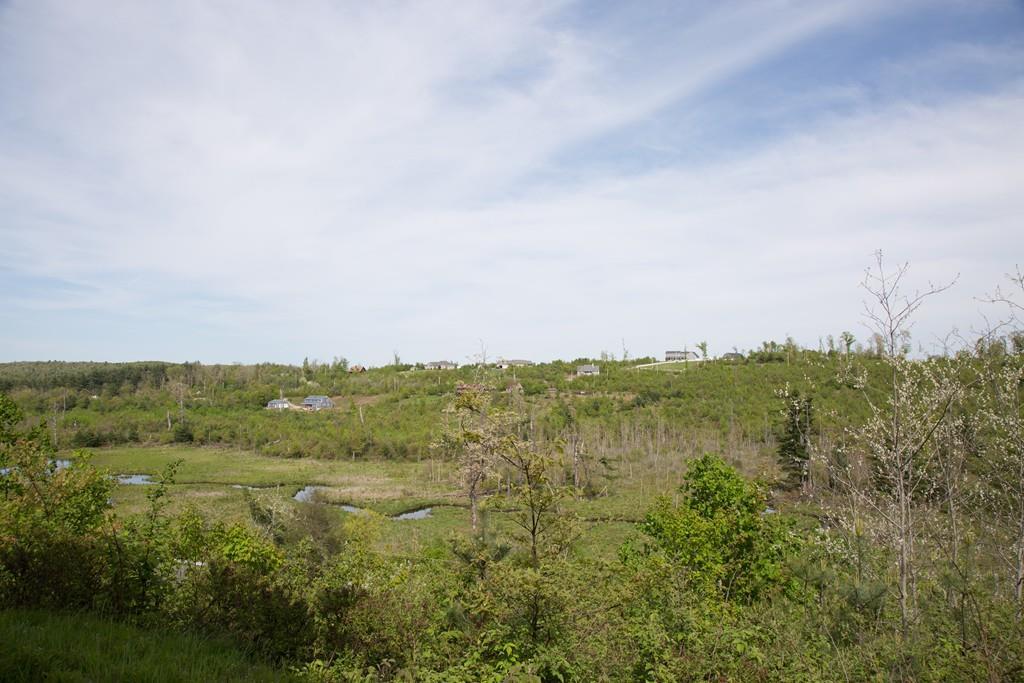 Lot 10A Wales Road - Photo 1