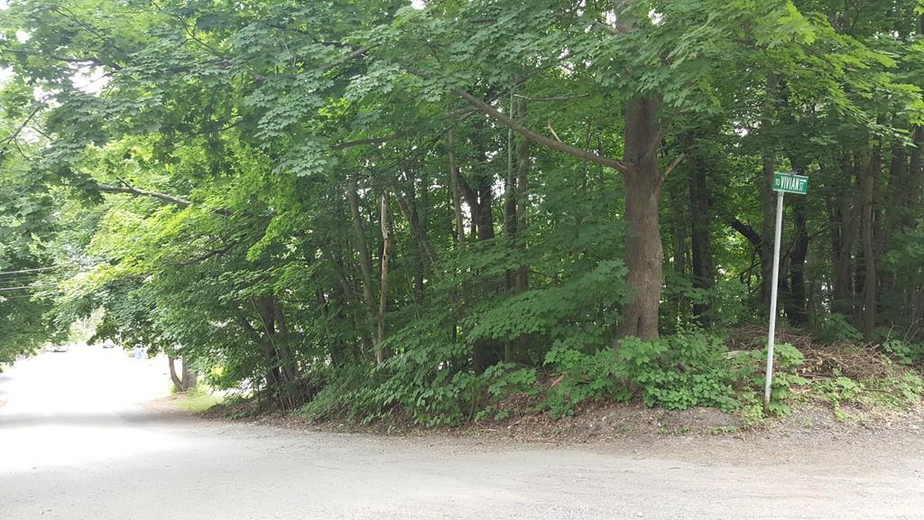 Lot 1-4 Pine View Ave - Photo 1
