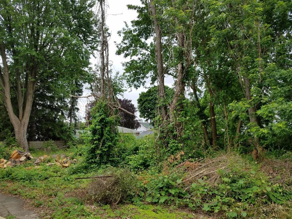 15 Sussex St - Photo 1