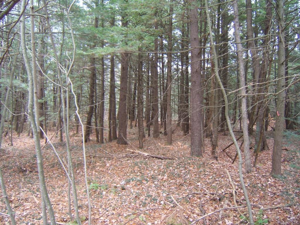 0 Gardner - Photo 1
