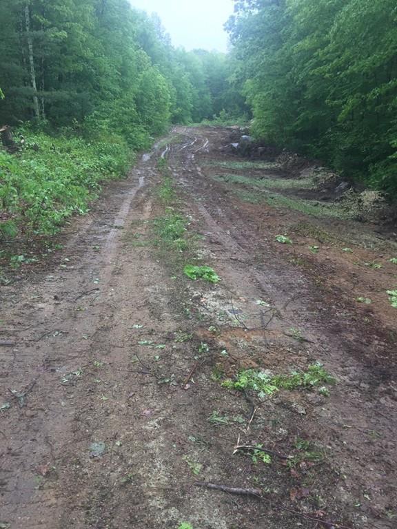 Lot 5 /179 Thayer St - Photo 1