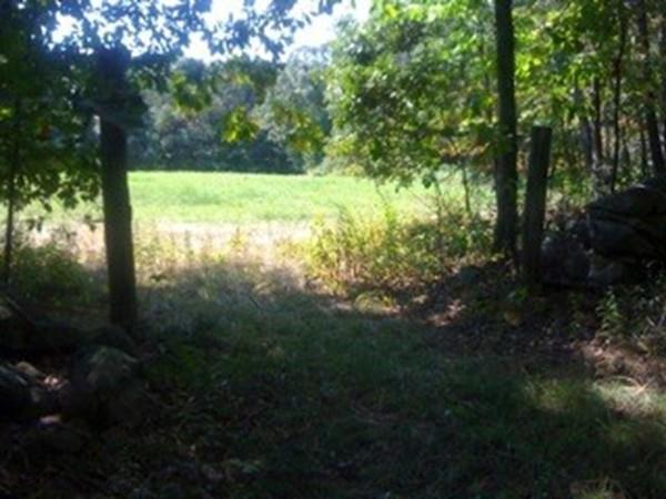 Lot 6/179 Thayer St - Photo 1