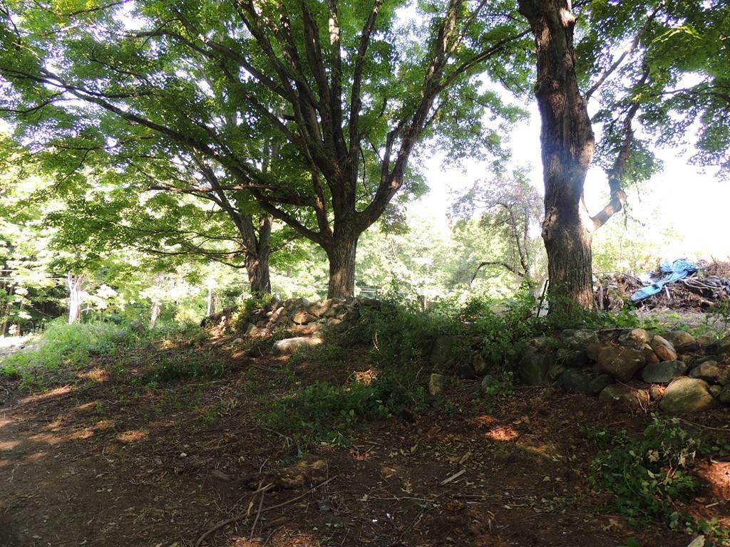 lot 14 Town Farm Road - Photo 1