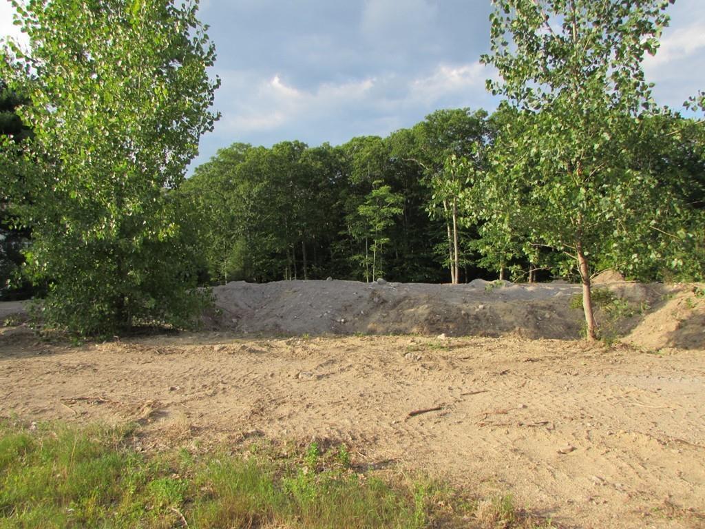 17 Bridle Path - Photo 1