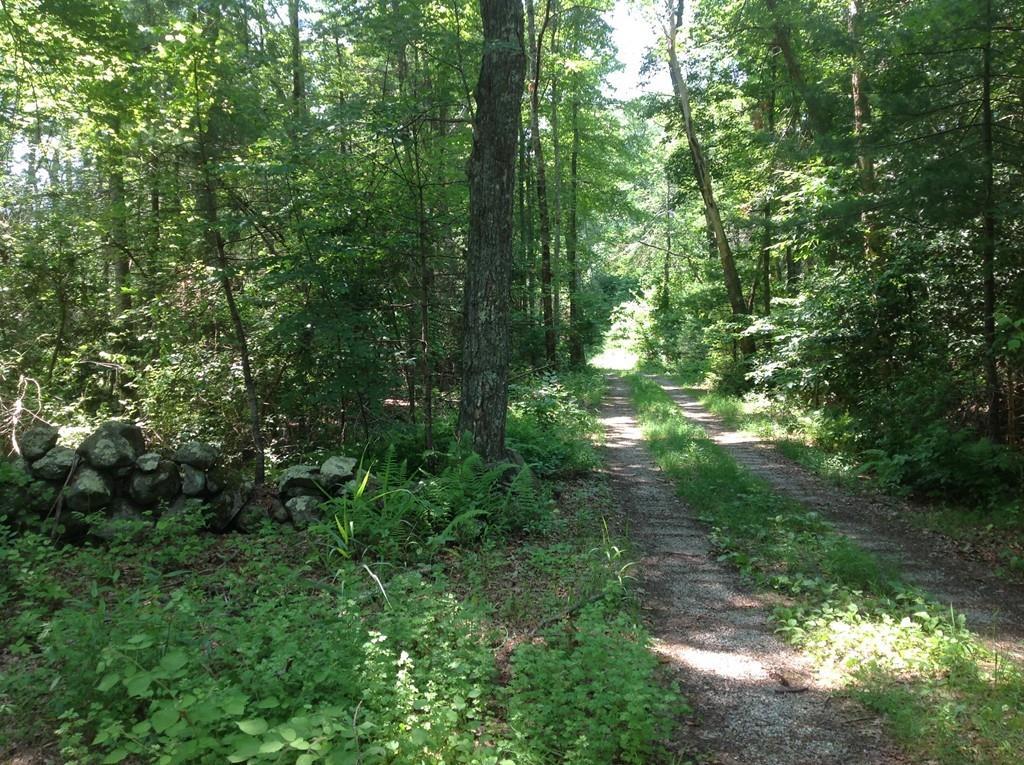 Lot 1 Featherbed Ln - Photo 1