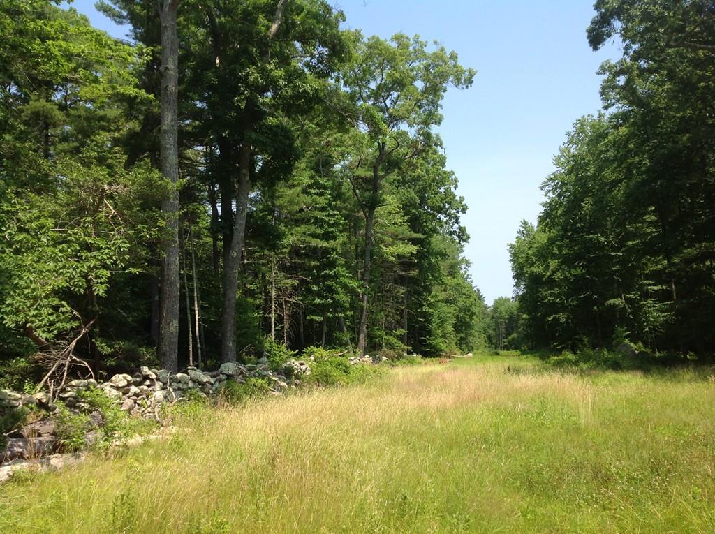 Lot 2 Featherbed Ln - Photo 1