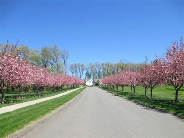 19 Meacham Drive - Photo 1