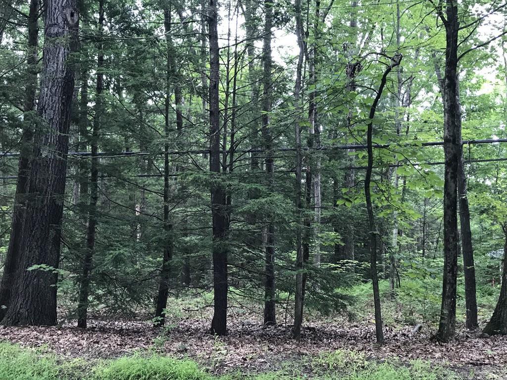 LOT 1 Amherst - Photo 1