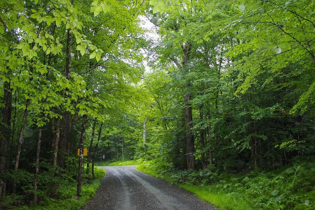 0 Thayer Hill Rd - Photo 1