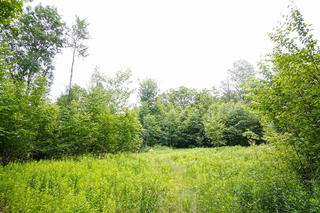 0 Pisgah Rd, Lot 1 - Photo 1