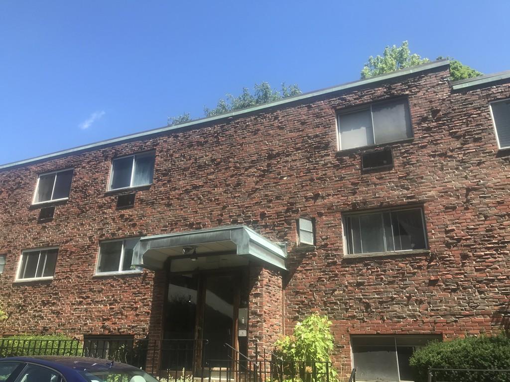 59 Saint Paul St - Photo 1