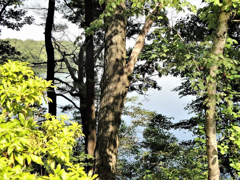 63 Lake Shore Rd - Photo 1