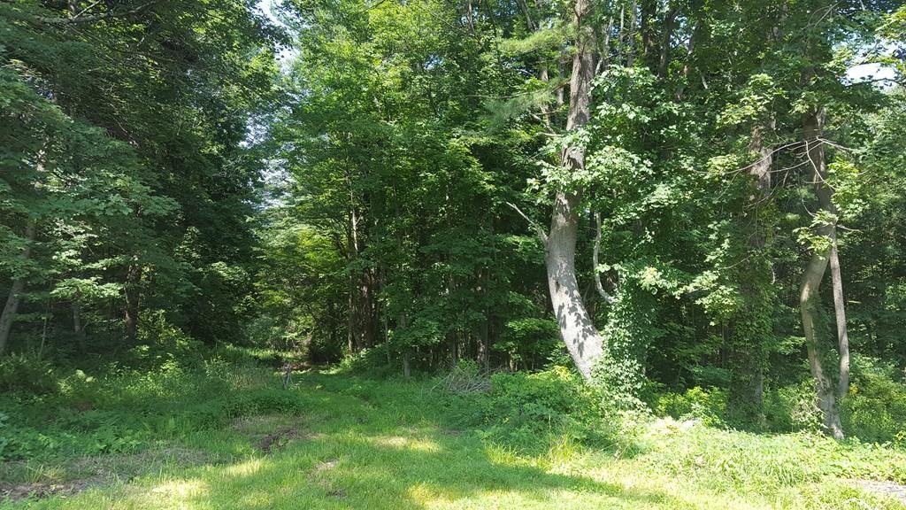 0 Briarwood Avenue L 34 - Photo 1