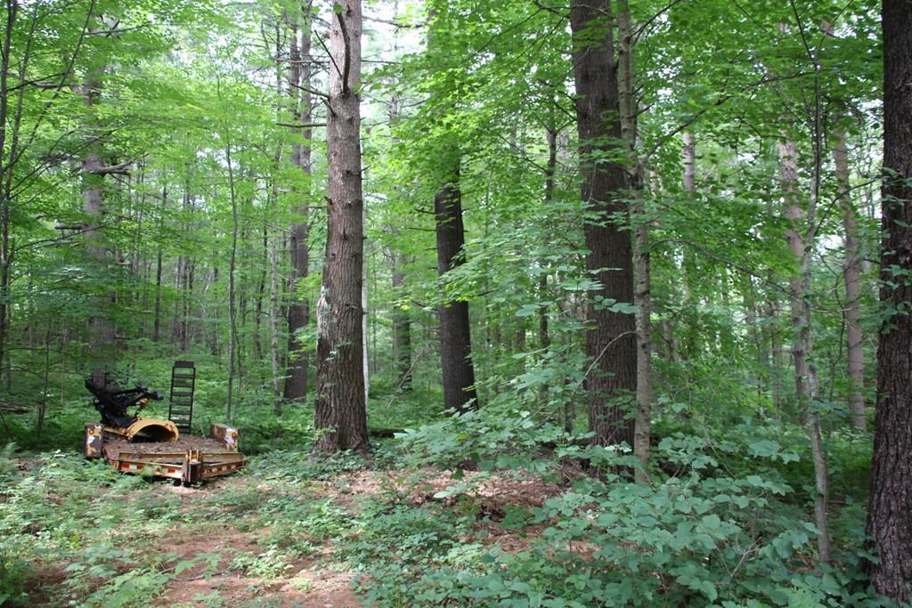 Lot 2 Lakeshore Drive - Photo 1