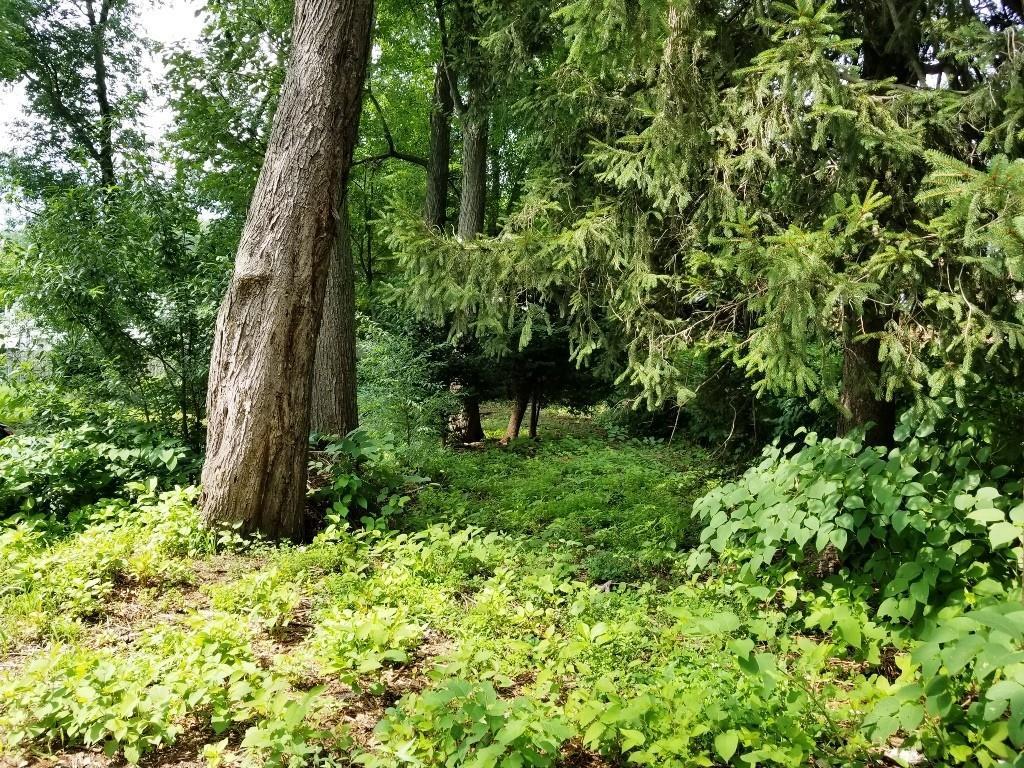 0 Lealand Ave - Photo 1