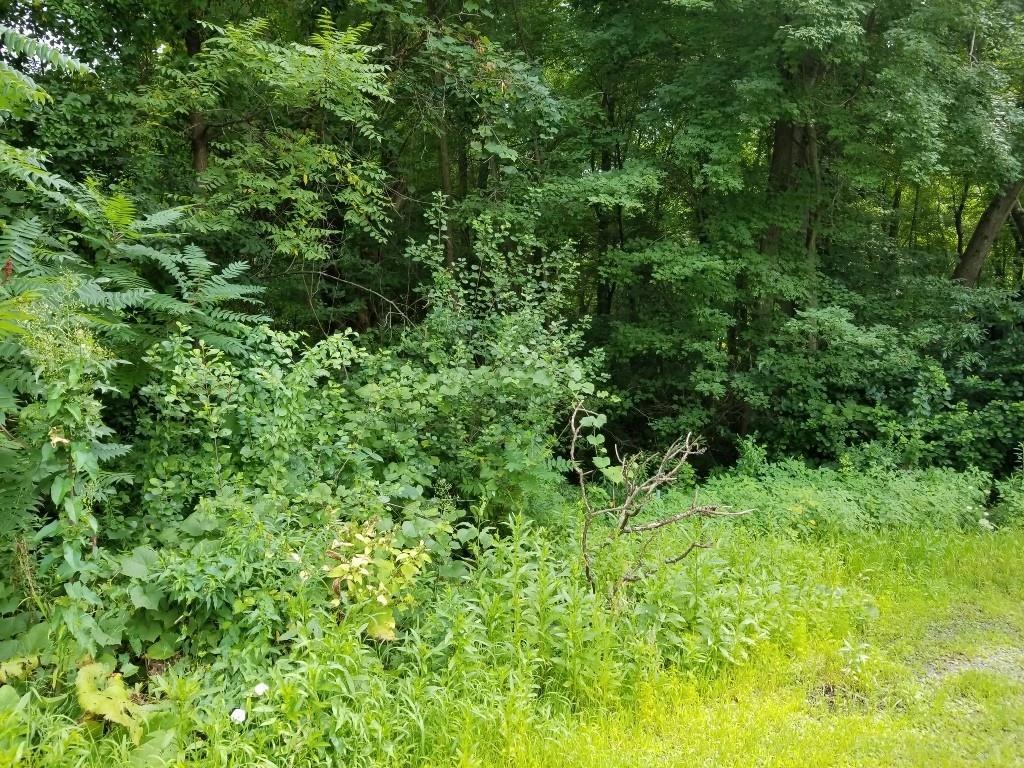 Lot 0 Lealand Ave - Photo 1
