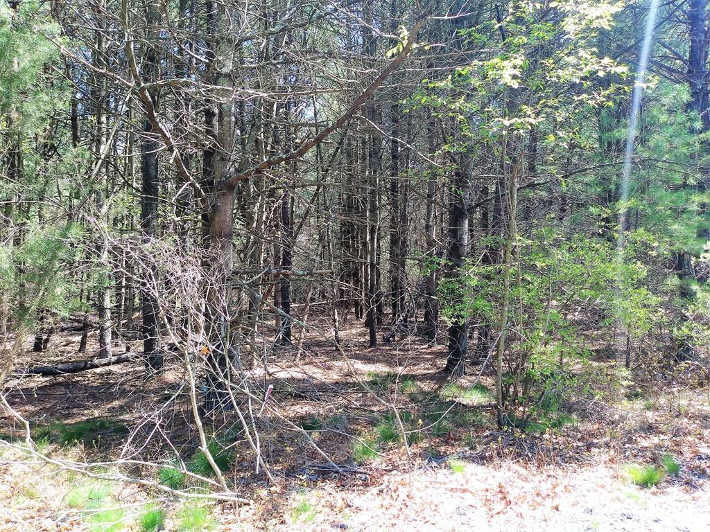 35 Silva St - Photo 1
