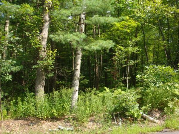 Lot 3 A Wachusett Street - Photo 1