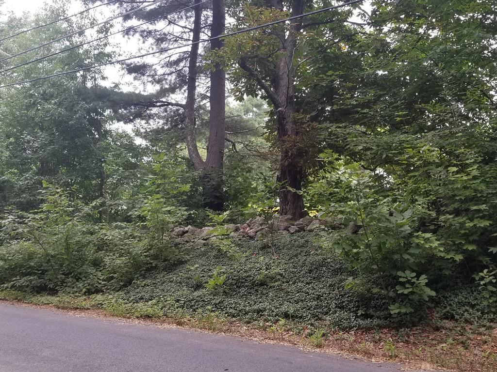 Lot 191 Old Westminster Rd - Photo 1