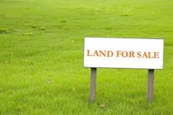 Lot 1 Williams St. - Photo 1