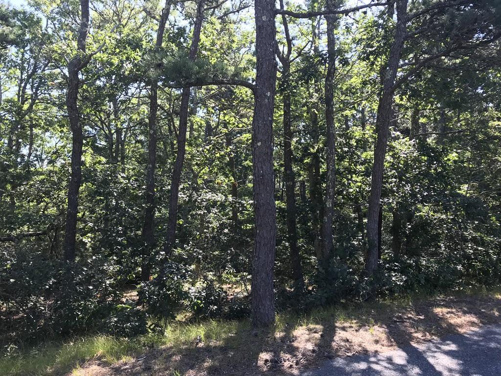 434 Old Bass River Rd - Photo 1