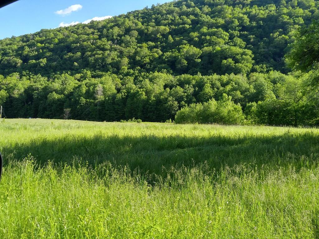Lot 0 Route 20 (Huntington Road) - Photo 1