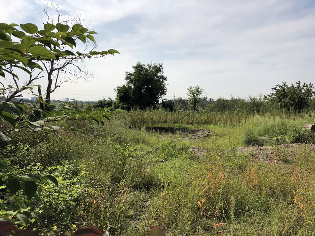 64 Saugus Ave - Photo 1
