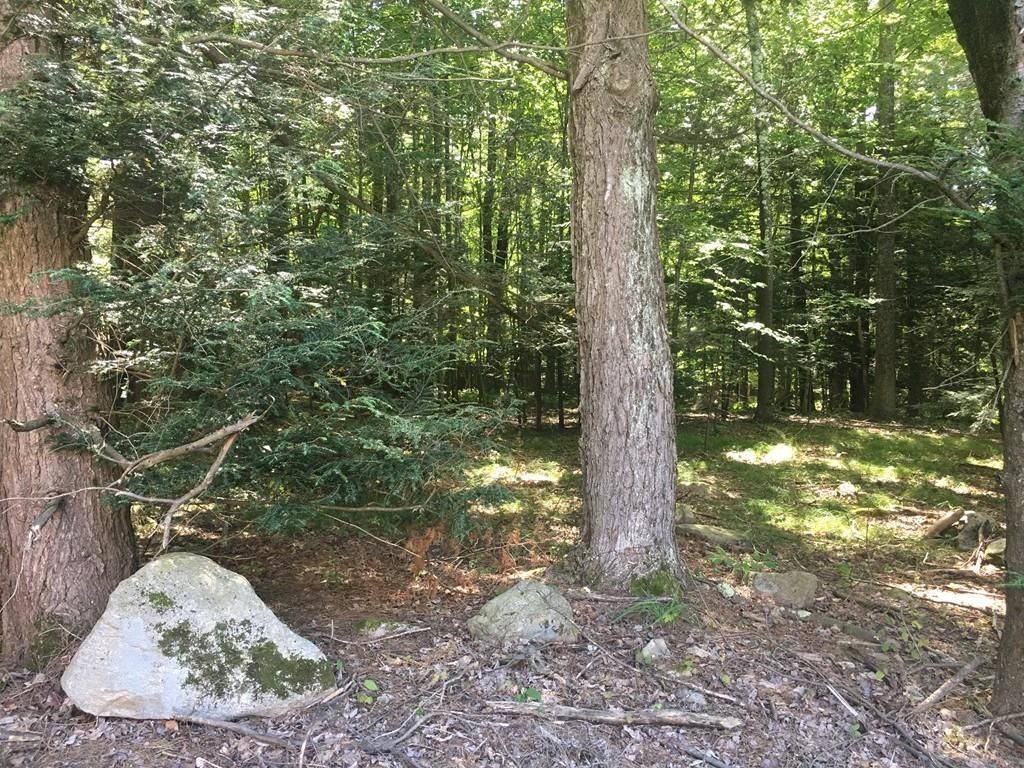 0 West Chestnut Hill Rd - Photo 1