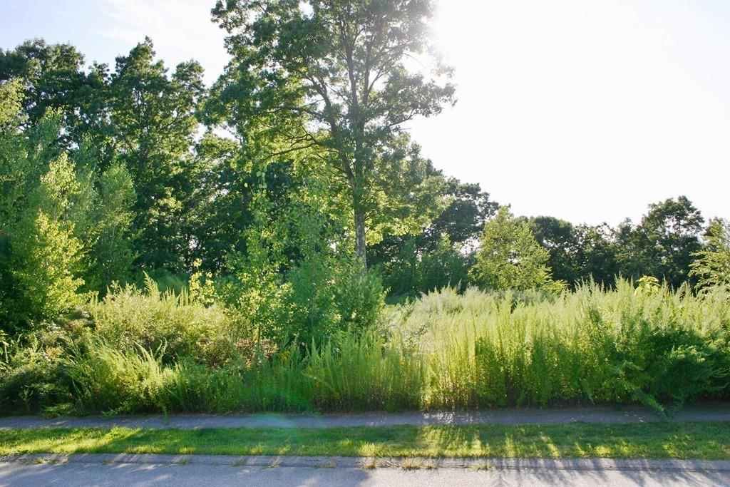 Lot 42 Fox Hill Drive - Photo 1