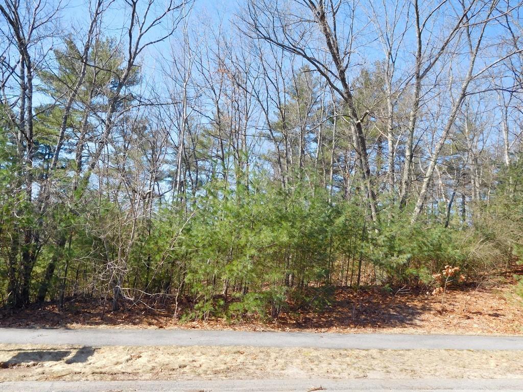 Lot 43 Fox Hill Drive - Photo 1
