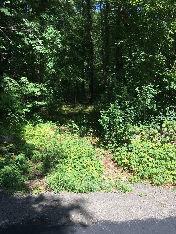 11 Beaver Dam Road - Photo 1