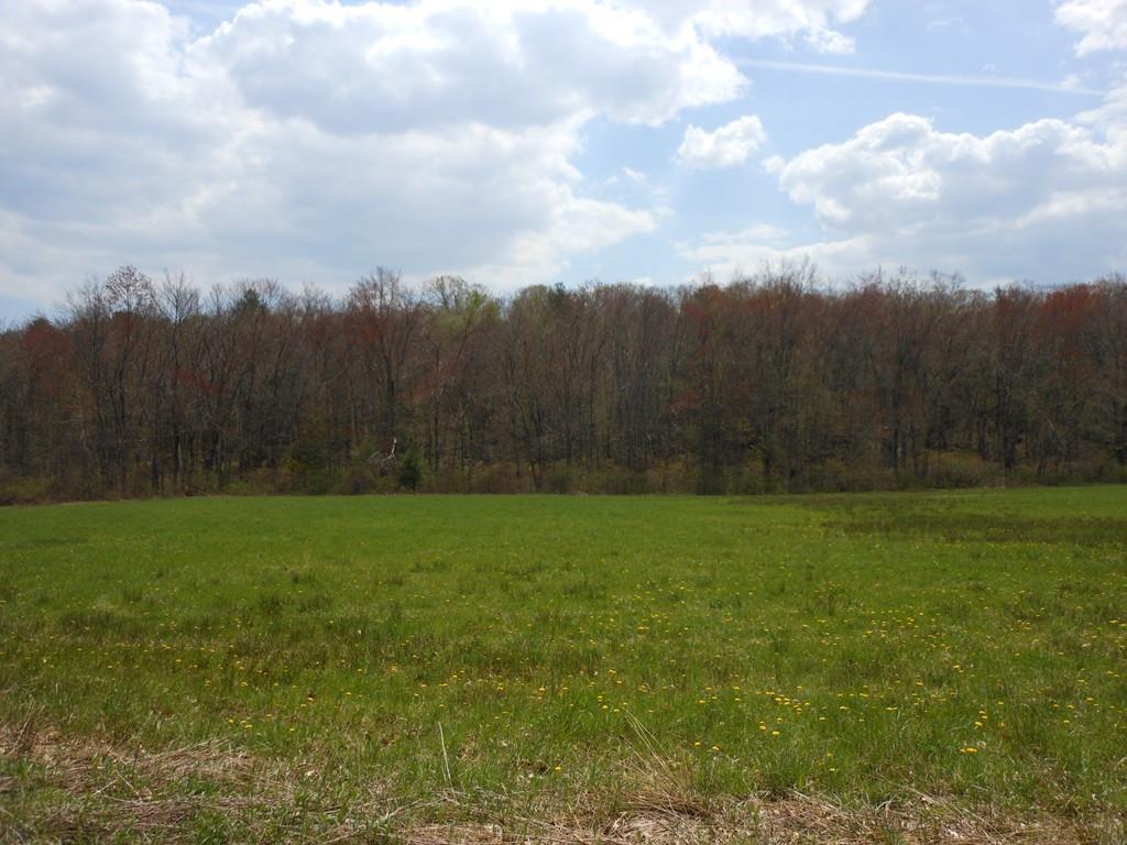 A-1 Fowler Road - Photo 1